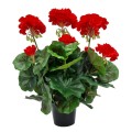 pelargonia_sztuczna_w_doniczce_20240204 (5).jpg