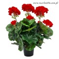 pelargonia_sztuczna_w_doniczce_20240204 (5)a.jpg