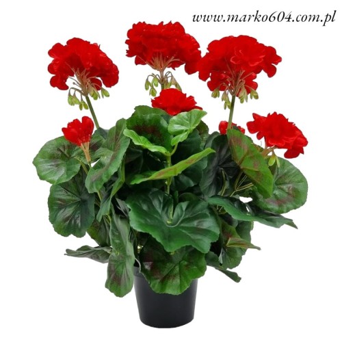 pelargonia_sztuczna_w_doniczce_20240204 (5)a.jpg