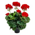 pelargonia_sztuczna_w_doniczce_20240204 (6).jpg