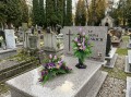 komplet na cmentarz stroik i bukiet na grób tulipany bratki krokusy kolory fioletowy lila-róż na grobie