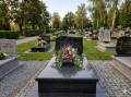kompozycja stroik na cmentarz grób tulipany szafirki kolory amarantowy fioletowy różowy na grobie
