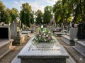 kompozycja stroik na cmentarz grób tulipany bratki krokusy kolory biały różowy na grobie